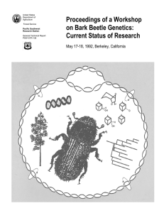 Proceedings of a Workshop on Bark Beetle Genetics: Current Status of Research