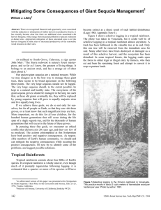 Mitigating Some Consequences of Giant Sequoia Management 1 William J. Libby