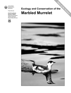 Marbled Murrelet Ecology and Conservation of the State of the Science United States