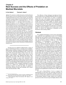 The influence of these biological and physical factors Brachyramphus marmoratus