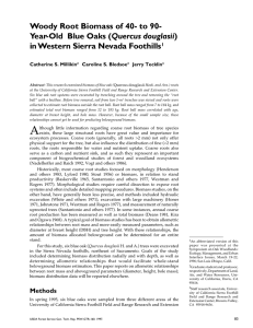 Woody Root Biomass of 40- to 90- Quercus douglasii Catherine S. Millikin