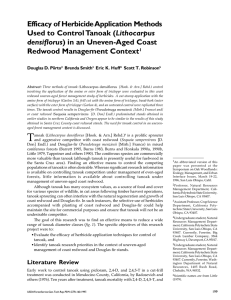 Efficacy of Herbicide Application Methods Lithocarpus Redwood Management Context densiflorus