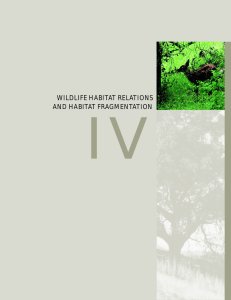 IV WILDLIFE HABITAT RELATIONS AND HABITAT FRAGMENTATION