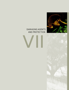VII DAMAGING AGENTS AND PROTECTION