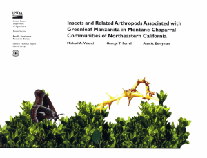Insects and Related Arthropods Associated with Greenleaf Manzanita in Montane Chaparral