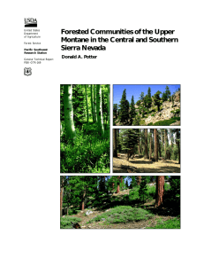 Forested Communities of the Upper Montane in the Central and Southern