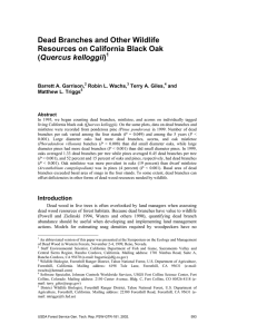 Dead Branches and Other Wildlife Resources on California Black Oak Quercus kelloggii