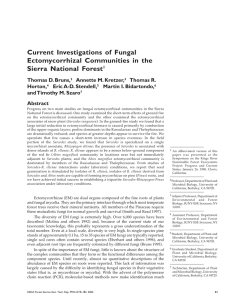 Current Investigations of Fungal Ectomycorrhizal Communities in the Sierra National Forest