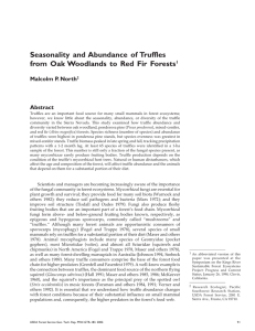 Seasonality and Abundance of Truffles Malcolm P. North Abstract