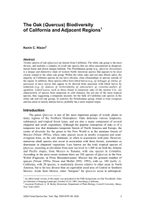 Quercus of California and Adjacent Regions Kevin C. Nixon 1