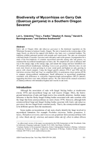 Biodiversity of Mycorrhizas on Garry Oak Quercus garryana Savanna