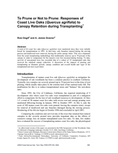 To Prune or Not to Prune: Responses of Quercus agrifolia