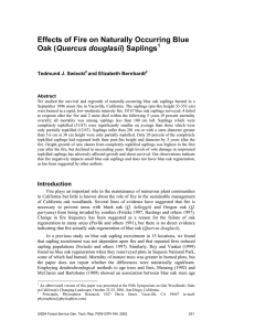 Effects of Fire on Naturally Occurring Blue Quercus douglasii  Tedmund J. Swiecki