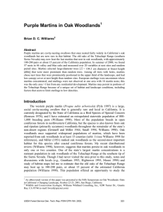 Purple Martins in Oak Woodlands  Brian D. C. Williams 1