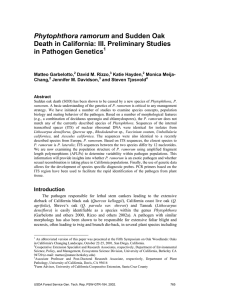 Phytophthora ramorum Death in California: III. Preliminary Studies in Pathogen Genetics