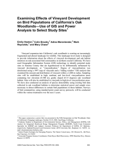 Examining Effects of Vineyard Development on Bird Populations of California’s Oak