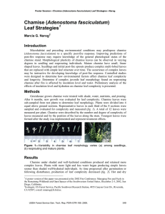 Adenostoma fasciculatum Leaf Strategies  Introduction