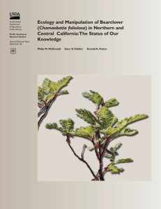 Ecology and Manipulation of Bearclover Chamaebatia foliolosa Knowledge