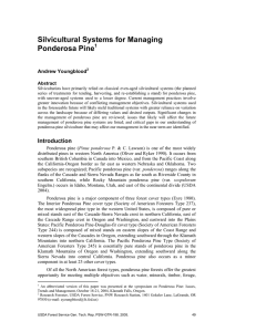 Silvicultural Systems for Managing Ponderosa Pine  oungblood