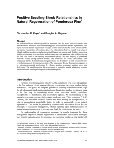 Positive Seedling-Shrub Relationships in Natural Regeneration of Ponderosa Pine  s
