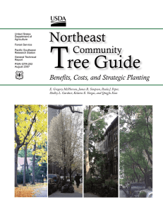 T ree Guide Northeast Community