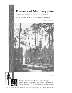 Diseases of Monterey pine