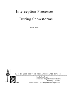 Interception Processes During Snowstorms