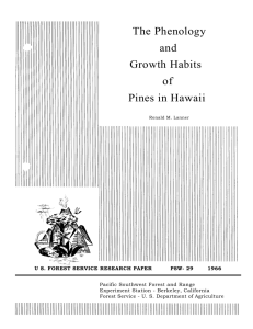 The Phenology and Growth Habits of