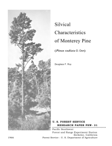 Silvical Characteristics of Monterey Pine Pinus radiata