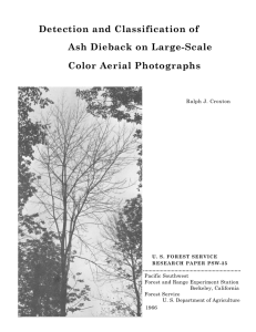 Detection and Classification of Ash Dieback on Large-Scale Color Aerial Photographs ..............................................................