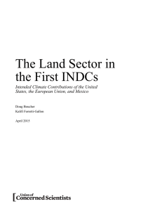 The Land Sector in the First INDCs