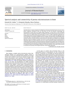 Spectral analysis and connectivity of porous microstructures in bone