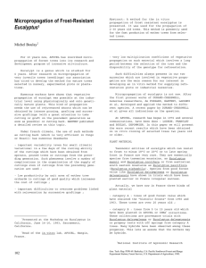 Micropropagation of Frost-Resistant Eucalyptus 1