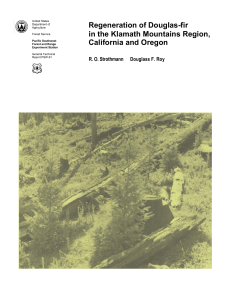 Regeneration of Douglas-fir in the Klamath Mountains Region, California and Oregon