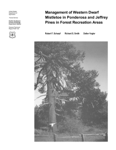 Management of Western Dwarf Mistletoe in Ponderosa and Jeffrey Robert F. Scharpf