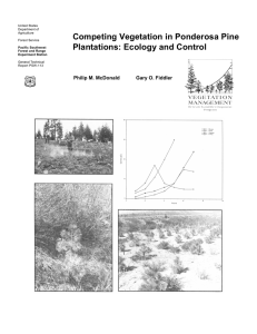 Competing Vegetation in Ponderosa Pine Plantations: Ecology and Control Philip M. McDonald