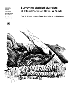 Surveying Marbled Murrelets at Inland Forested Sites: A Guide United States