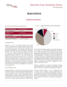wachovia Executive C emerging strategy