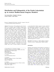 Labyrinthula Distribution and Pathogenicity of the Protist