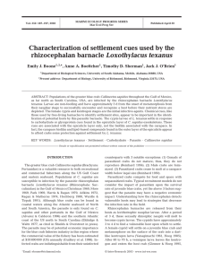 Characterization of settlement cues used by the rhizocephalan barnacle Loxothylacus texanus