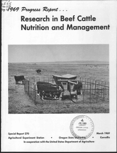 71969 Research in Beef Cattle Nutrition and Management