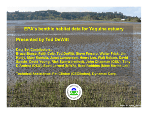 EPA’s benthic habitat data for Yaquina estuary Presented by Ted DeWitt