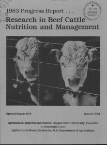 c)‘)-Research in Beef Cattlee4zg• Nutrition and Management 1983 Progress Report ...