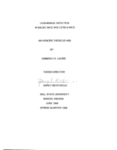 LEISHMANIAL INFECTION: IN  BALB/C MICE AND C57BU6 MICE BY