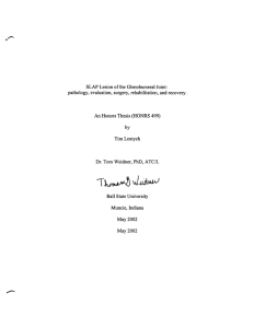 SLAP Lesion of the Glenohumeral Joint: Honors Thesis (HONRS 499) An