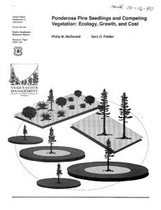 Ponderosa Pine Seedlings and Competing Vegetation: Ecology, Growth, and Cost 0.