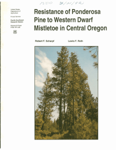 Resistance of Ponderosa Pine to Western Dwarf in Central Oregon Mistletoe