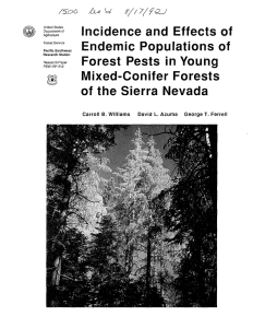 Incidence and Effects of Endemic Populations of Forest Pests in Young Mixed-Conifer Forests