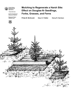 Mulching to Regenerate a Harsh Site: Effect on Douglas-fir Seedlings,