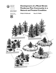 Development of a Mixed Shrub– Ponderosa Pine Community in a